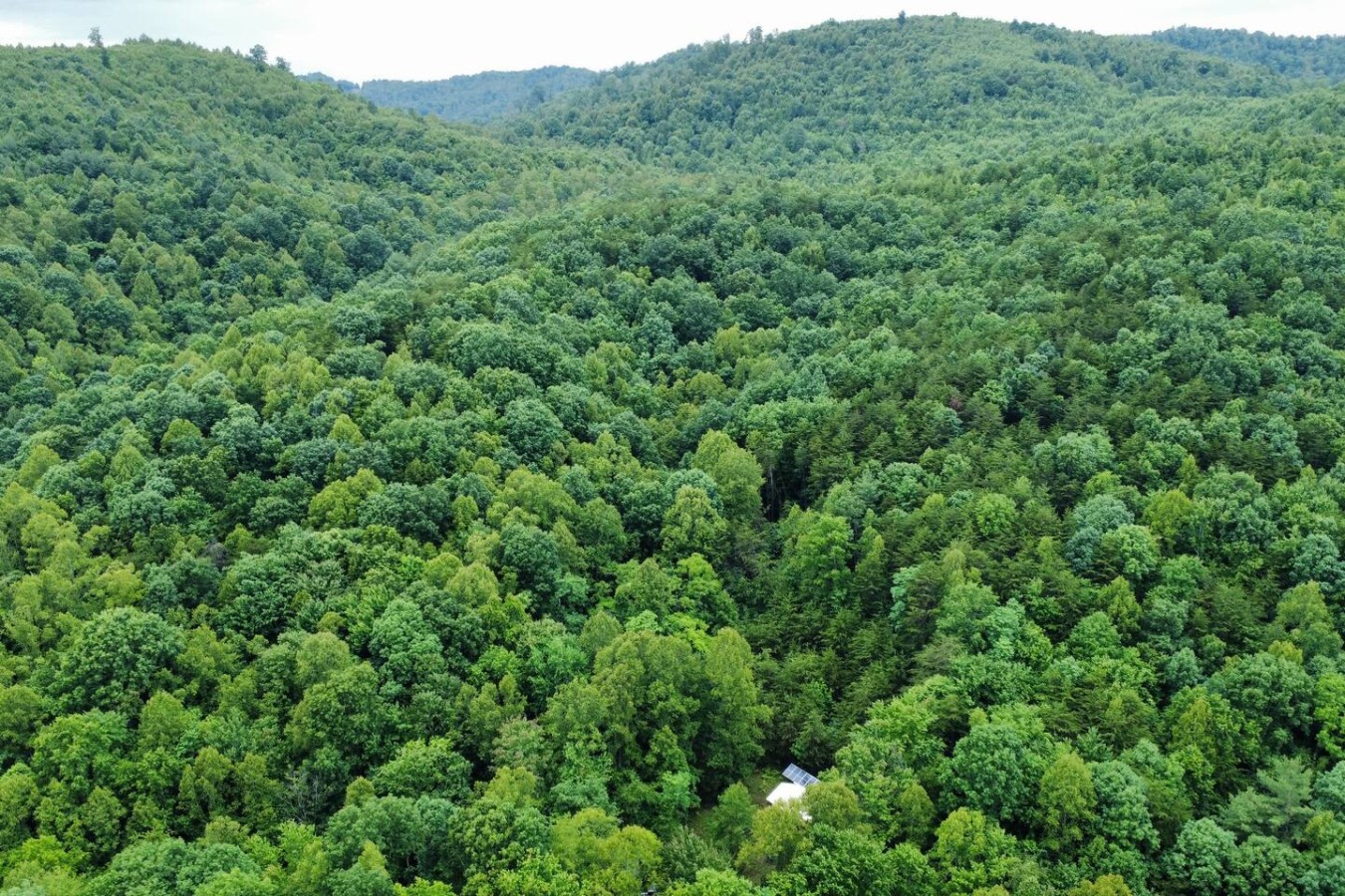 Glamping at Lenoir — Site 3