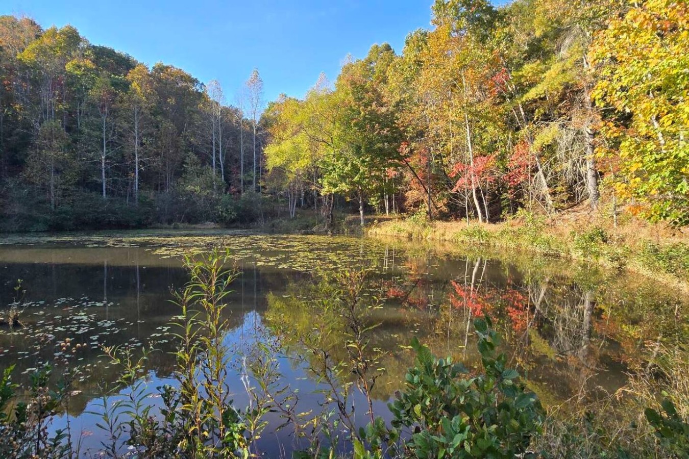 Glamping at Lenoir — Site 3