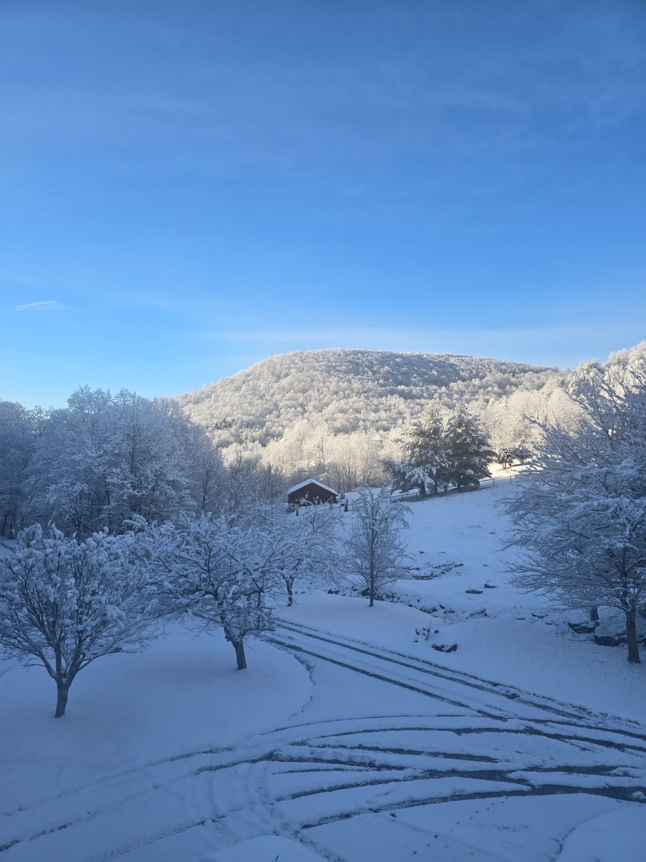 The house and the ridge in winter.jpg