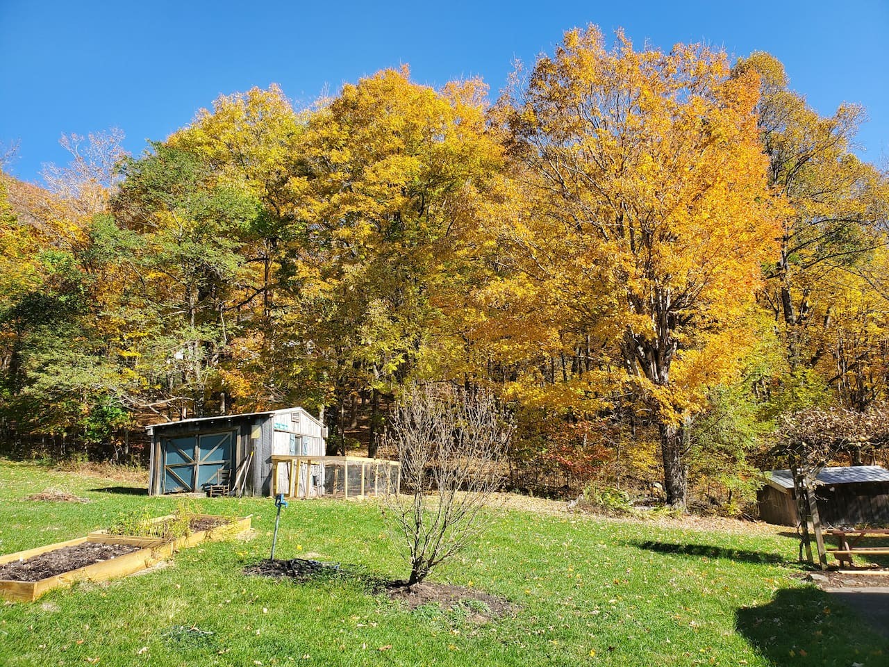 Mountain House on Buck Mountain