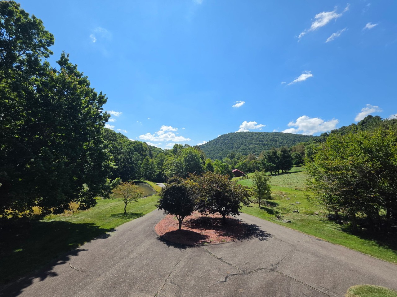 Nine point seven acres, looking across the pasture.jpg