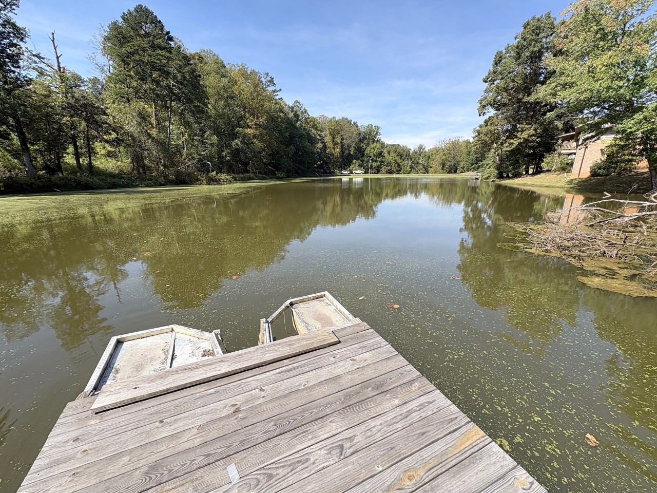 Private dock on the pond.jpg