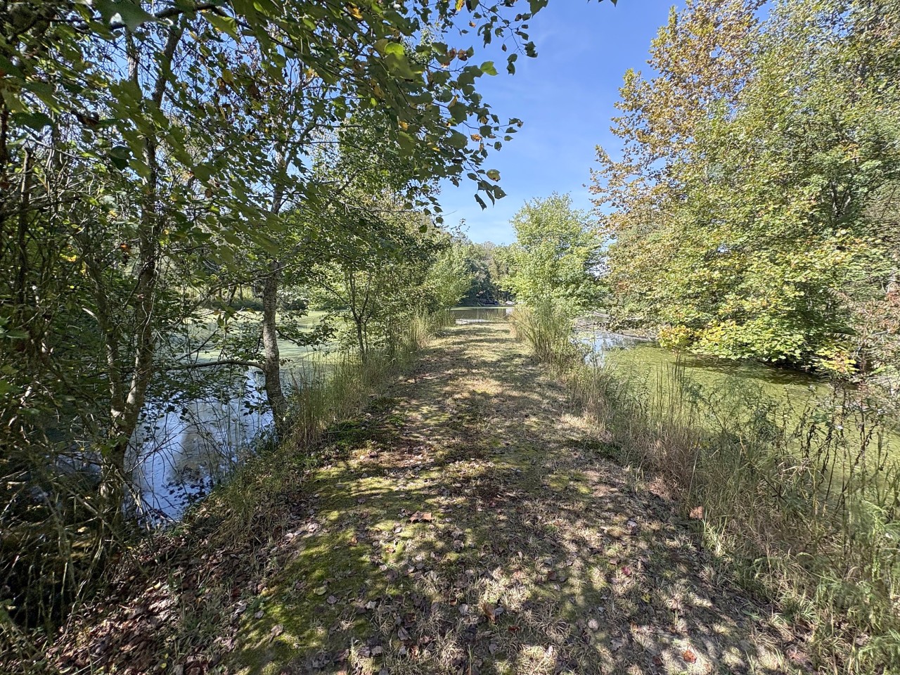 Trail along the pond.jpg