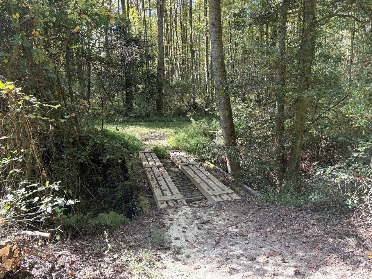 Footbridge on the walking trail.jpg