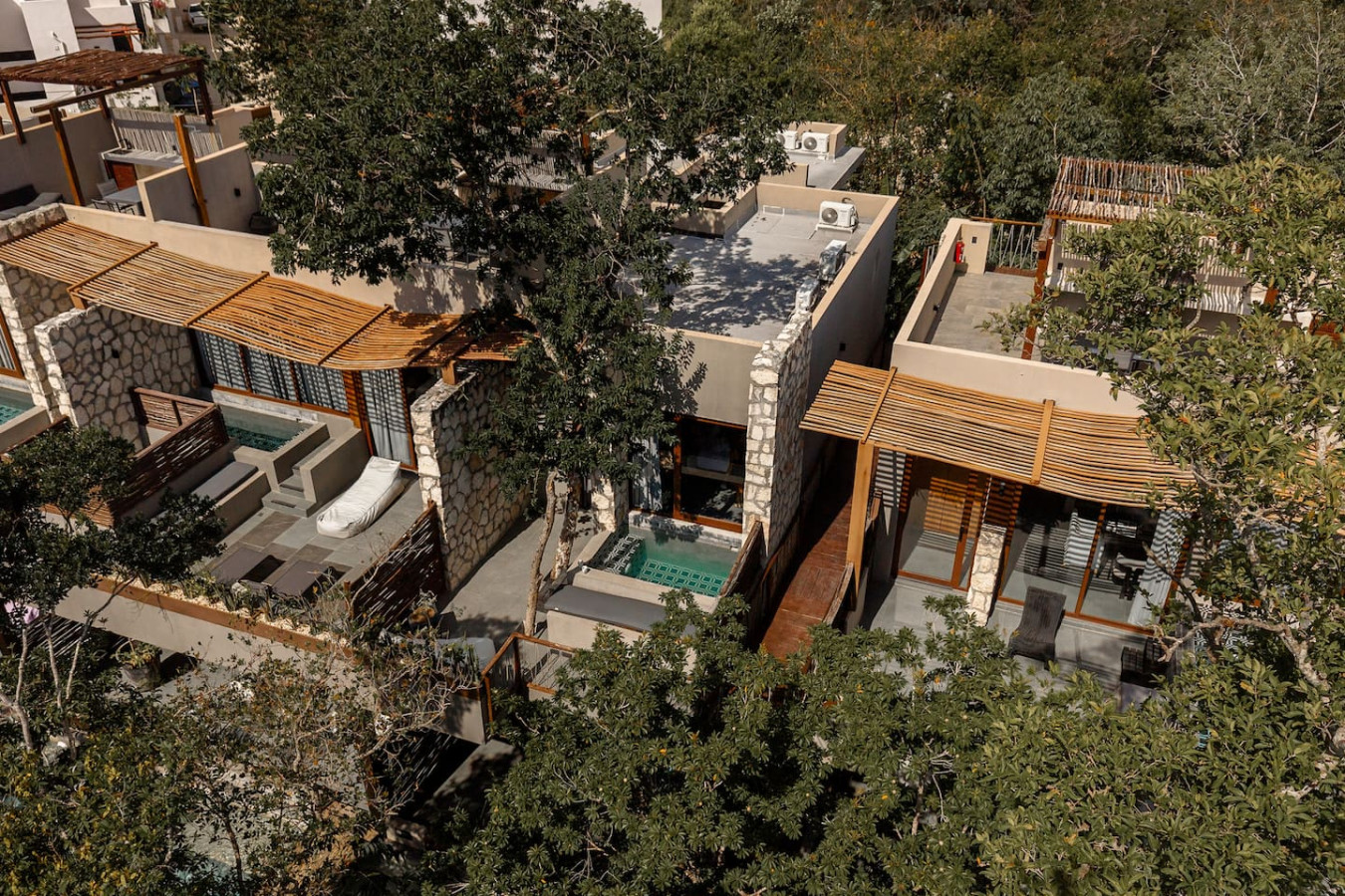 Luxury Jungle Apartment