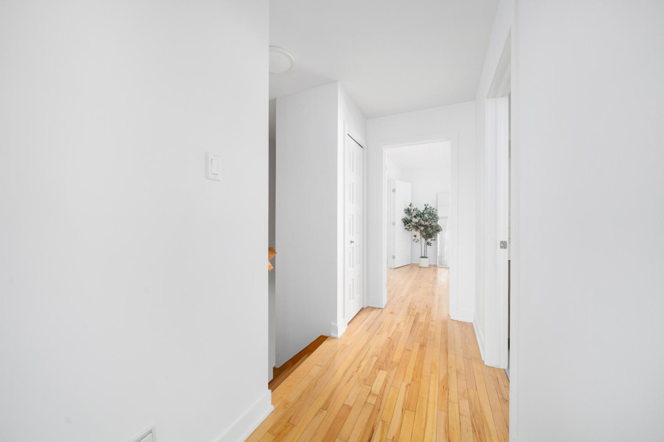 luxury property management company