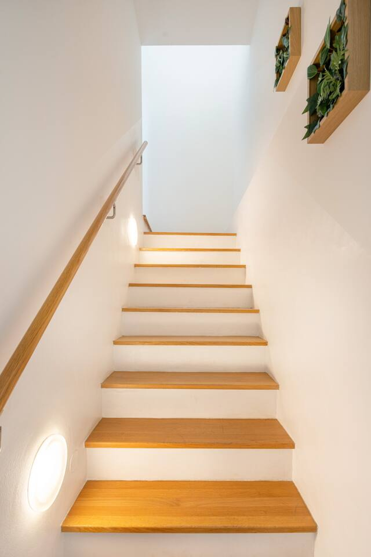 Gemütliches Apartment mit Garten und Terrasse - Bild 15