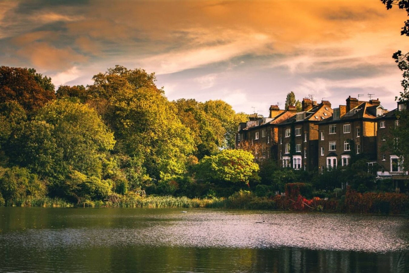 Hampstead Heath 2 bed in 76 Fleet Road atCheckIn NW3 2QT - Property image 11 - VivreStays