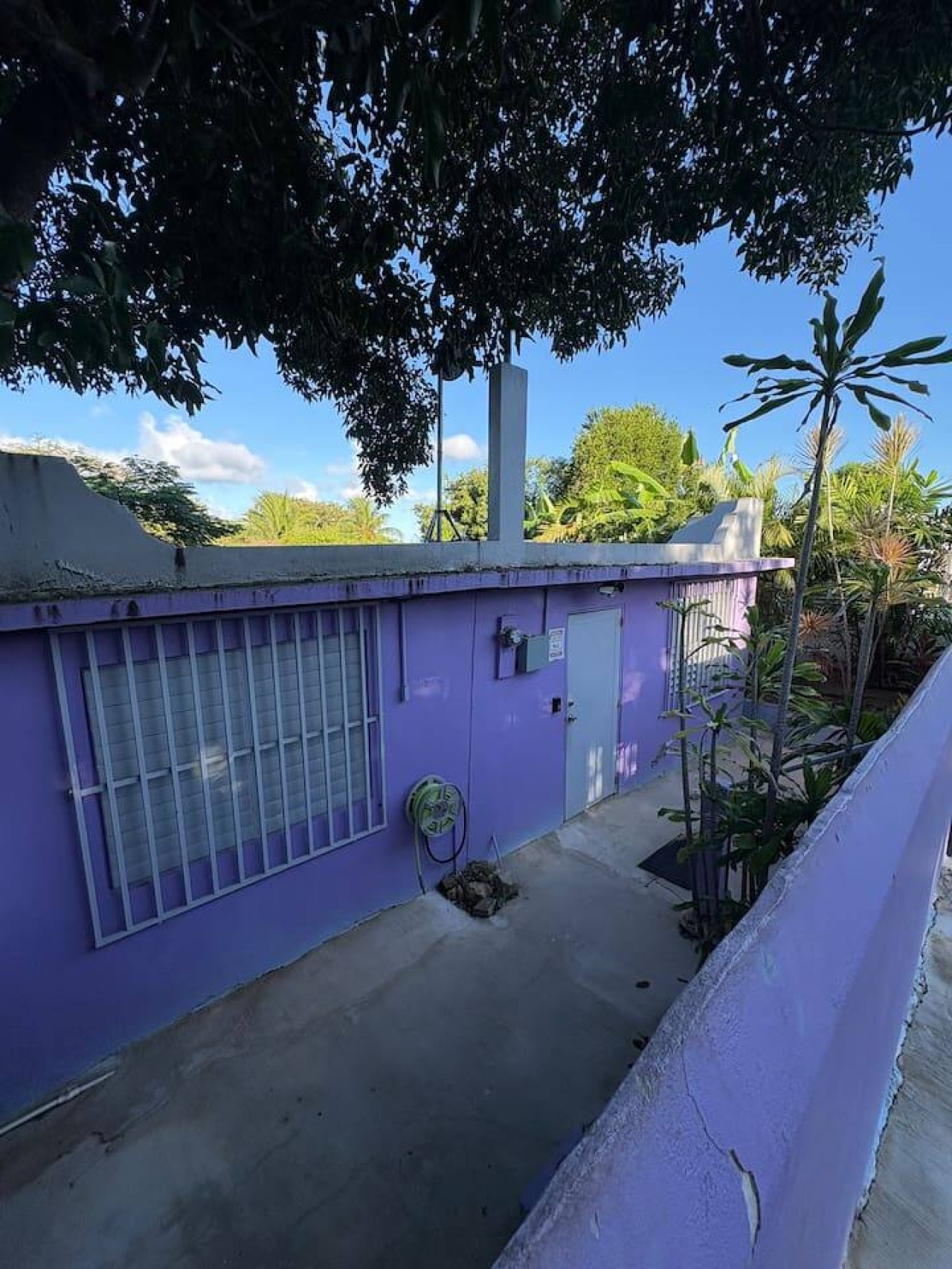 La Iguana Morada: A/C, WiFi, BioBay, walk to Ferry - Photo 3