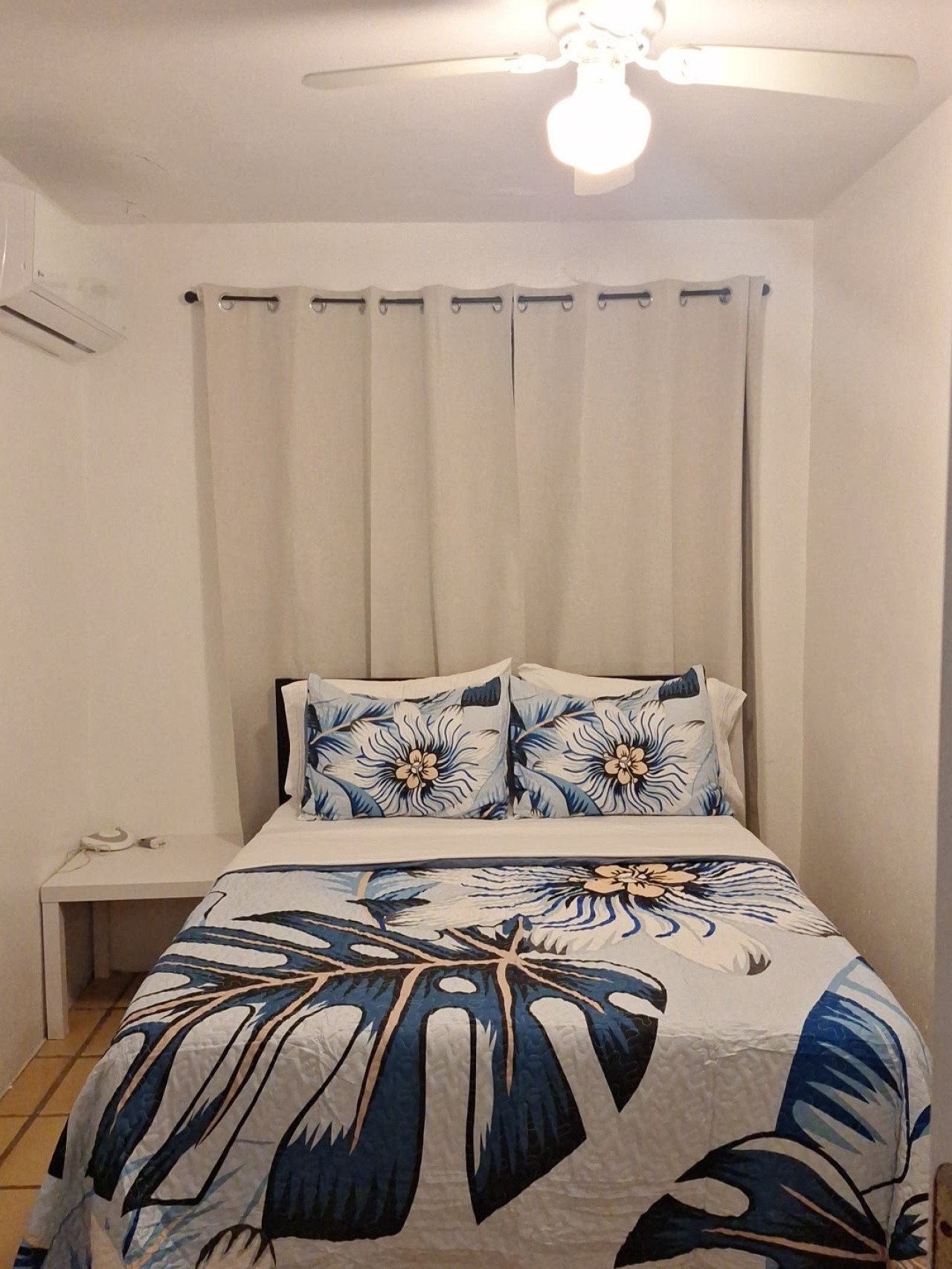 La Iguana Morada: A/C, WiFi, BioBay, walk to Ferry - Photo 4