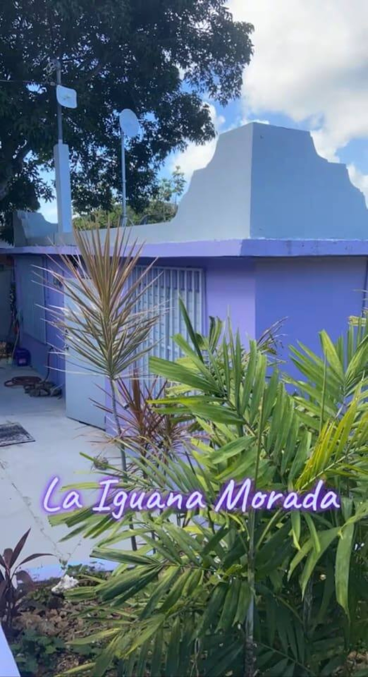 La Iguana Morada: A/C, WiFi, BioBay, walk to Ferry