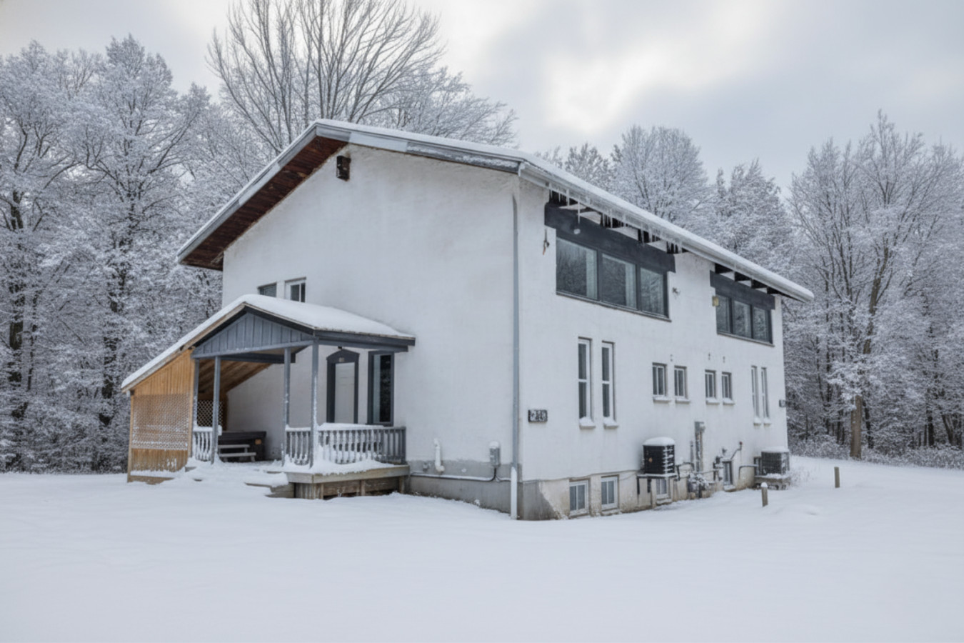 Birch Forest Lodge 5