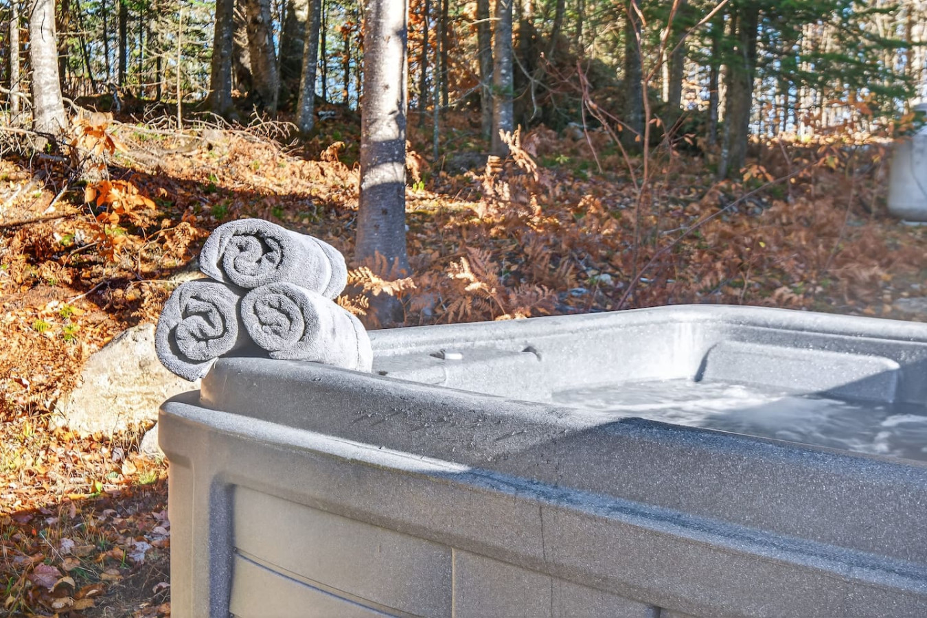 Chalet de la Tranquilitié in Bel Air 41