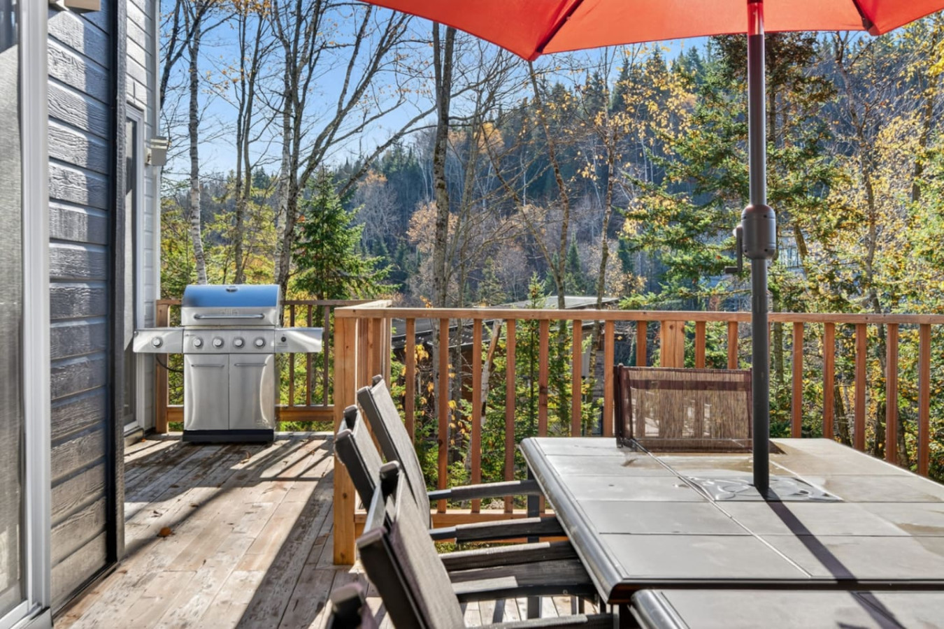 Chalet de la Tranquilitié in Bel Air 19