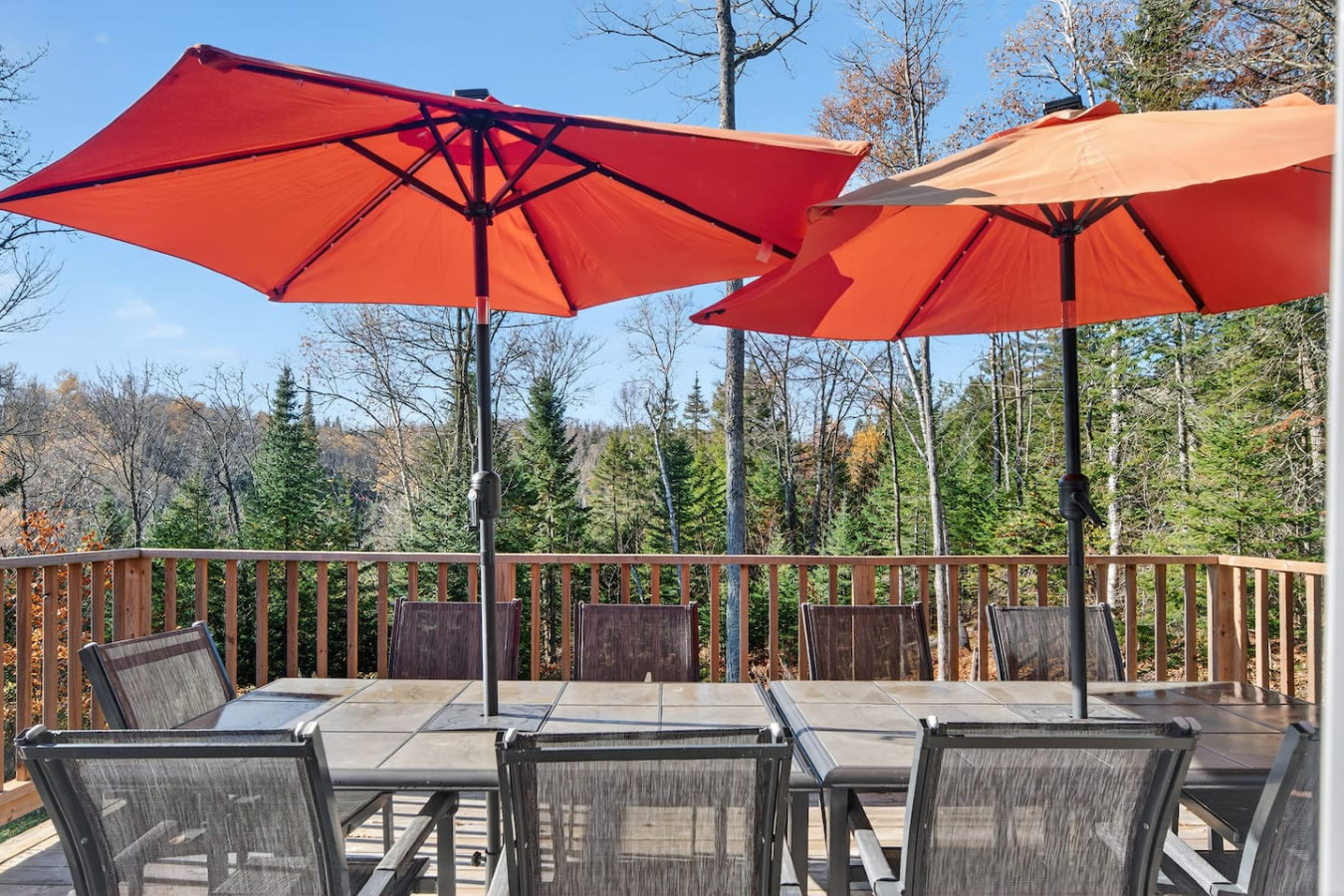 Chalet de la Tranquilitié in Bel Air 16