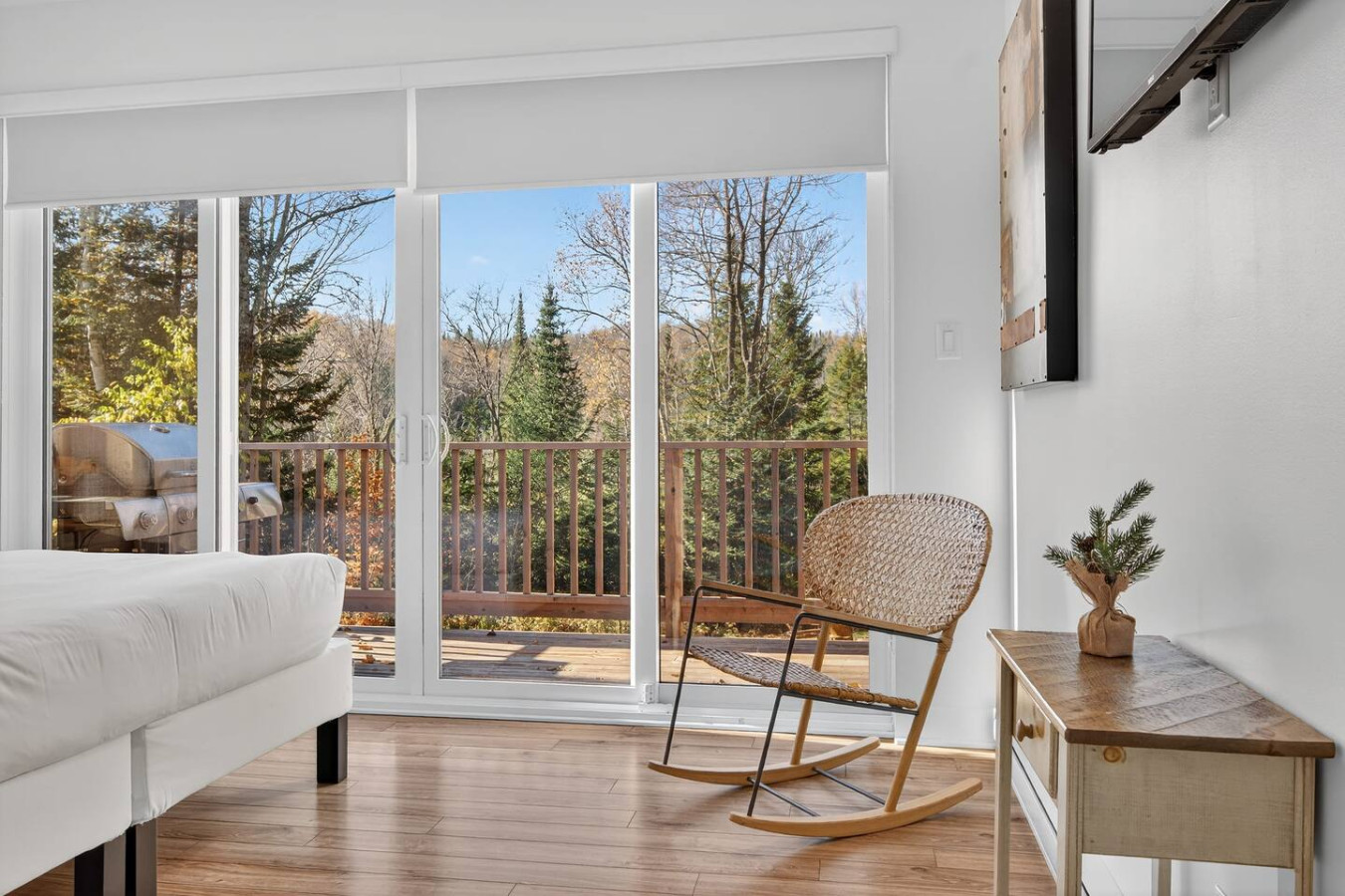 Chalet de la Tranquilitié in Bel Air 21