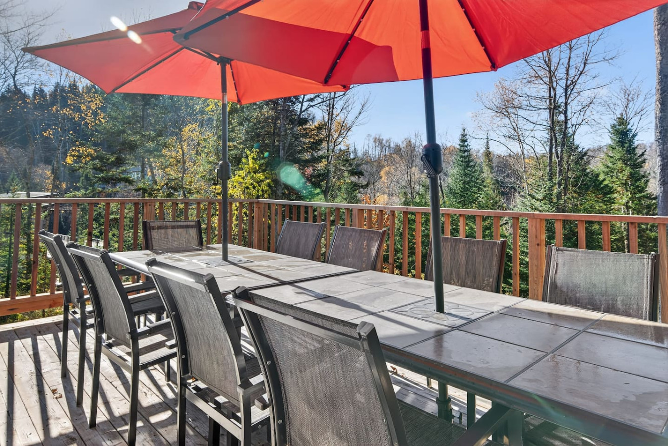 Chalet de la Tranquilitié in Bel Air 17