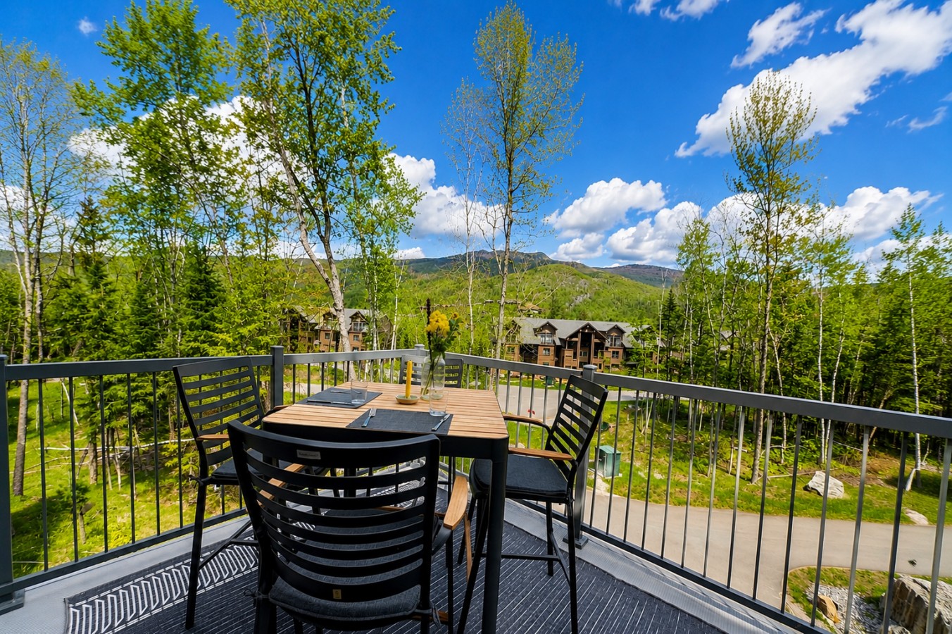 Front Deck Bistro set edit