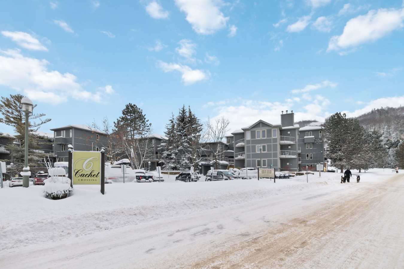 102 Cachet Crossing | Photo 32