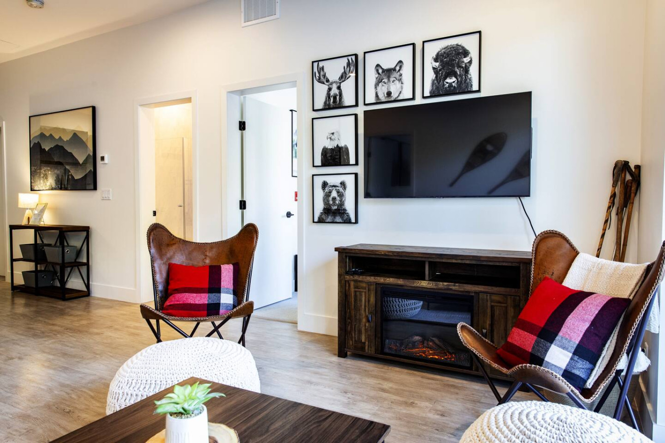 Monashee Sunshine | Photo 7