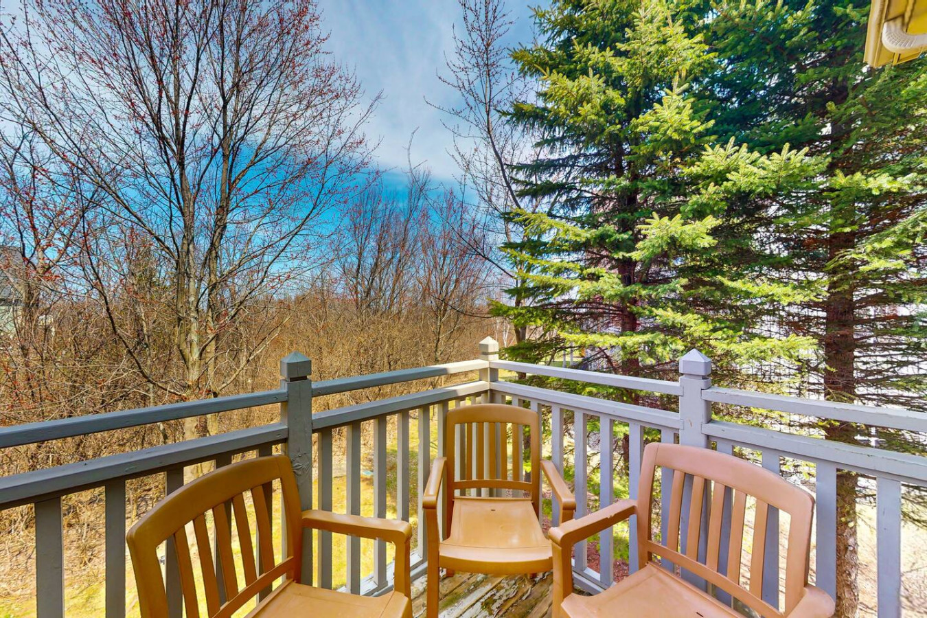 Spacious Family Getaway w/ Free Shuttle to Blue | Photo 4