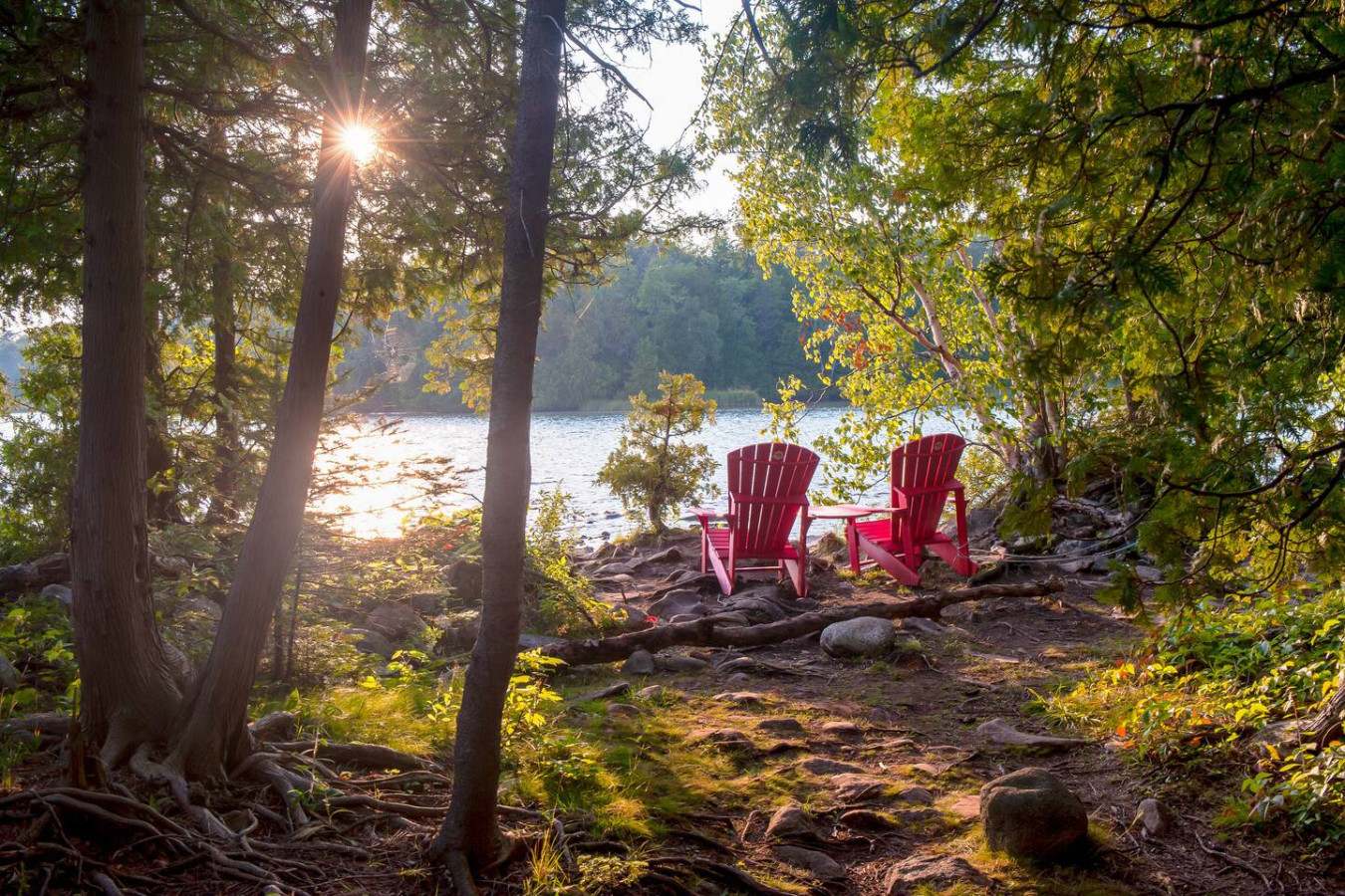 Spacious Family Getaway w/ Free Shuttle to Blue | Photo 30