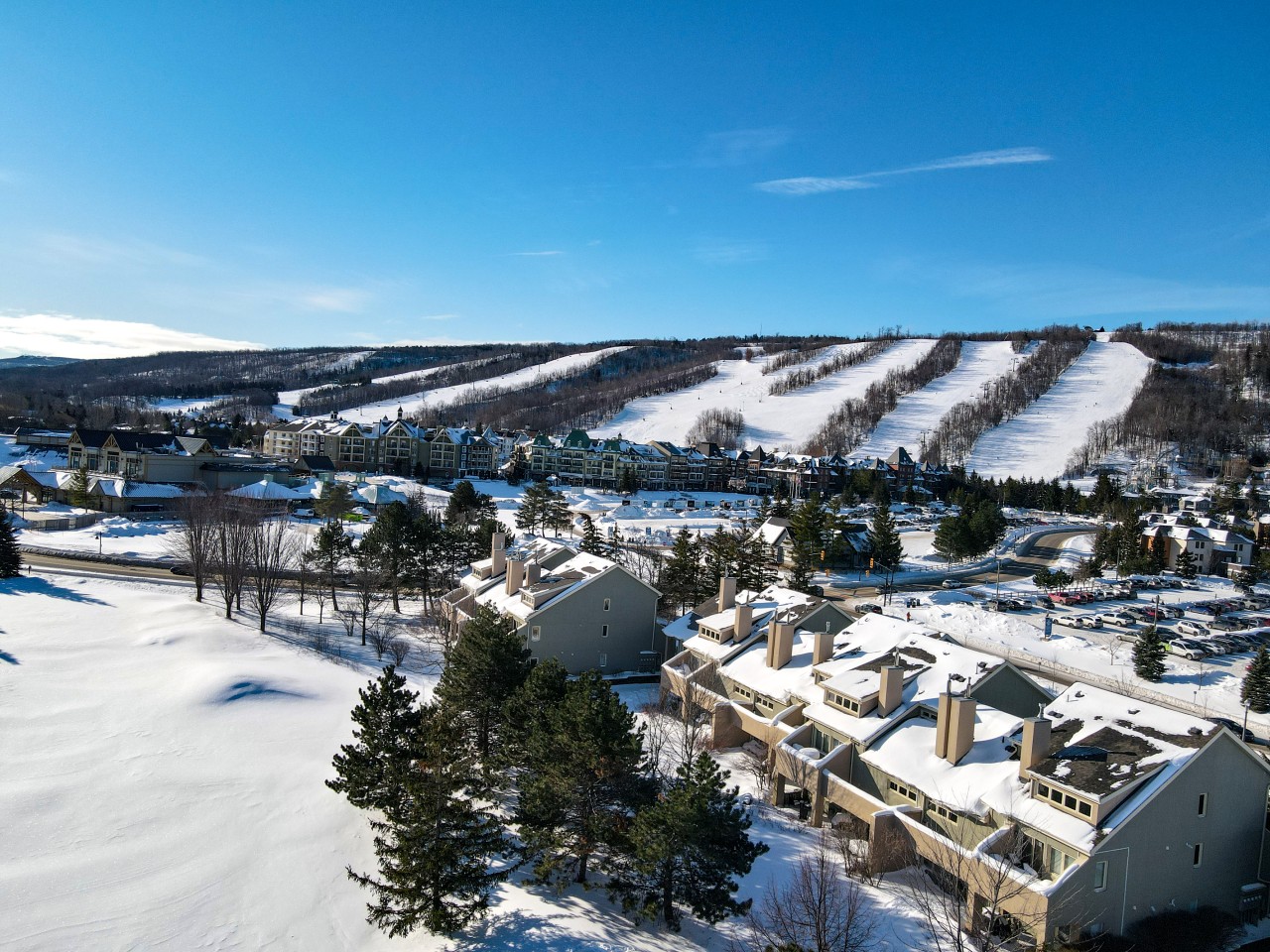 Wintergreen Winter