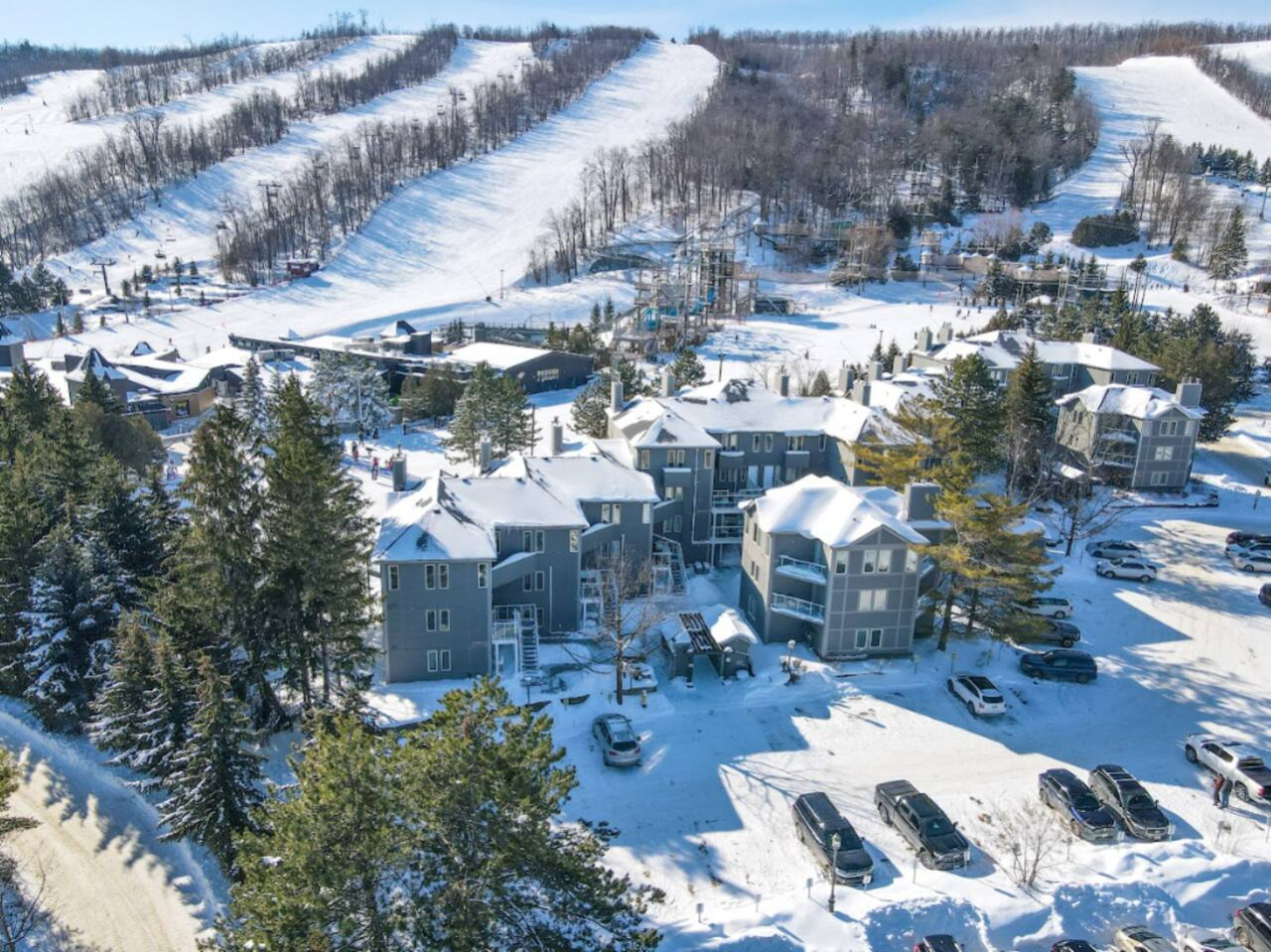 Ground-Floor Steps to Blue Mountain Home for 4 | Photo 26