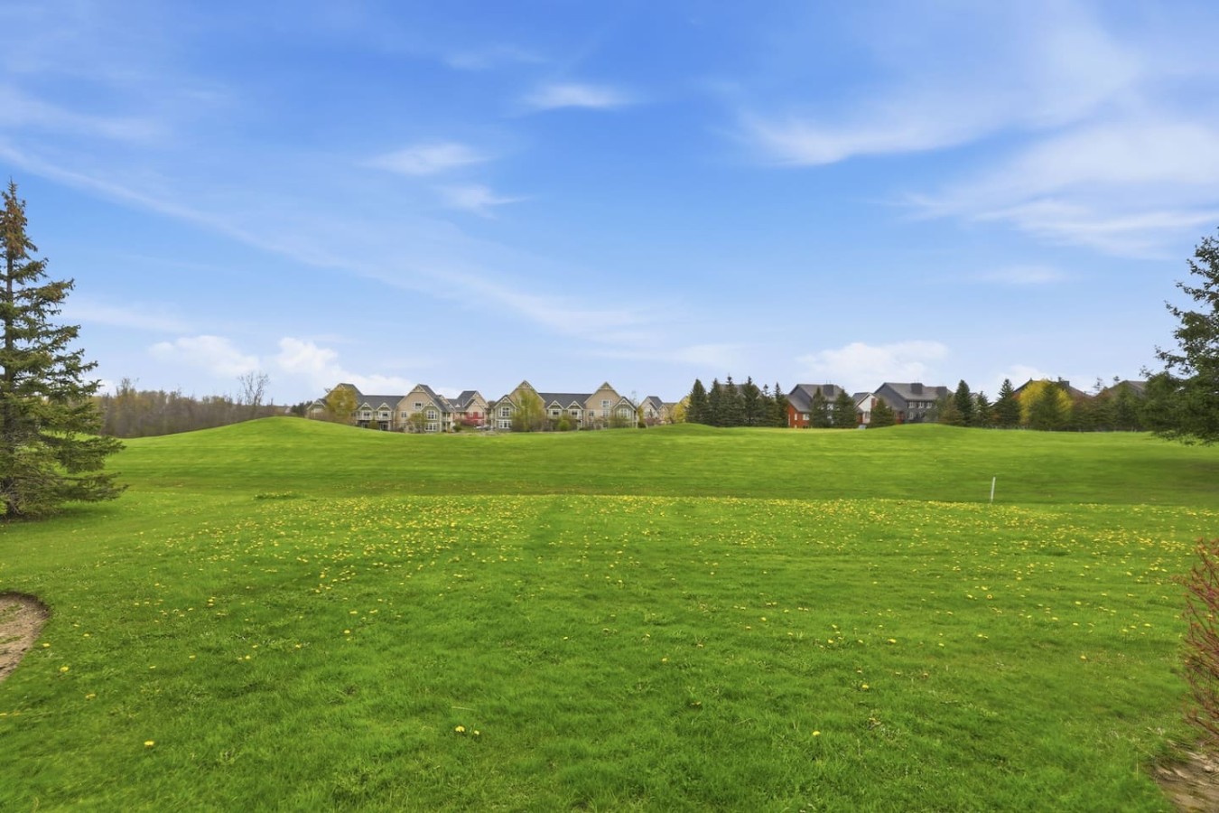 123 Wintergreen | Photo 36