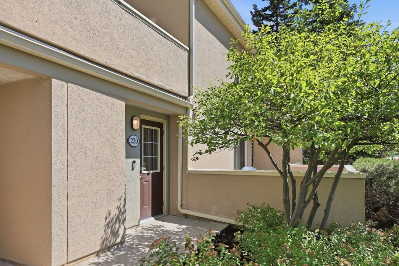 220 Wintergreen | Photo 46