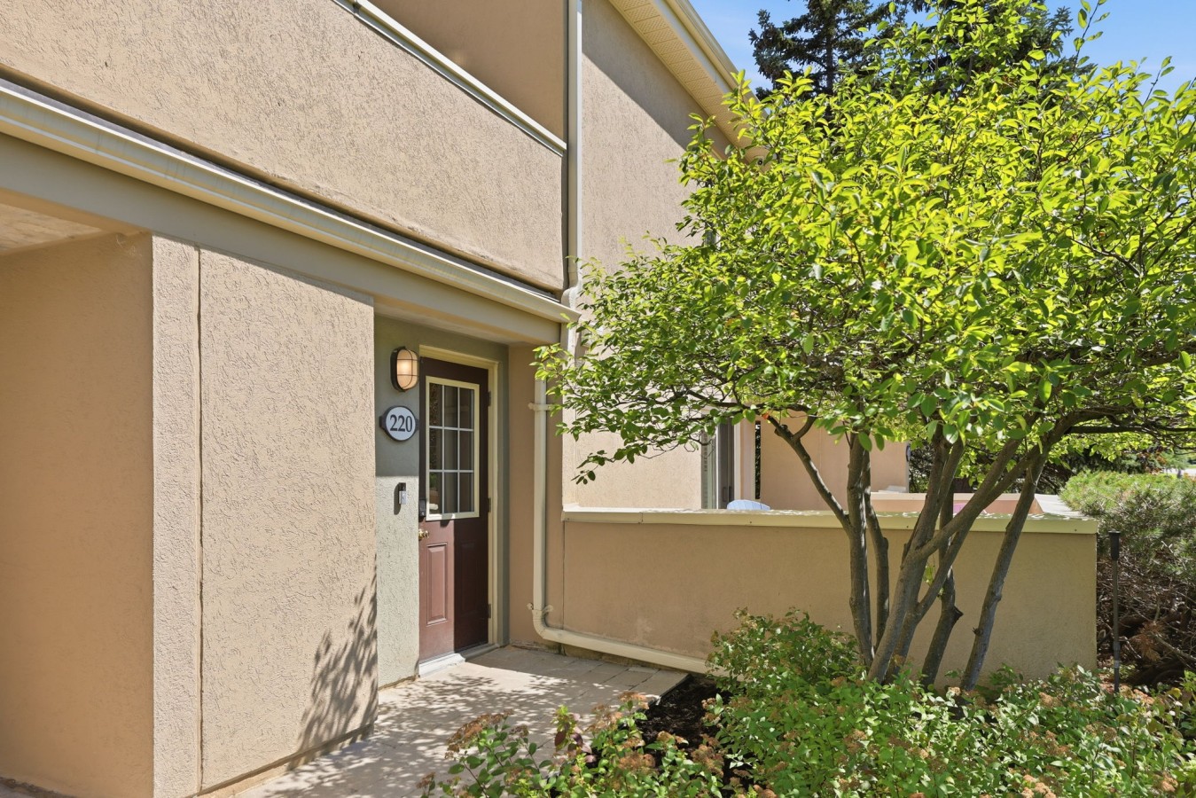 220 Wintergreen 44