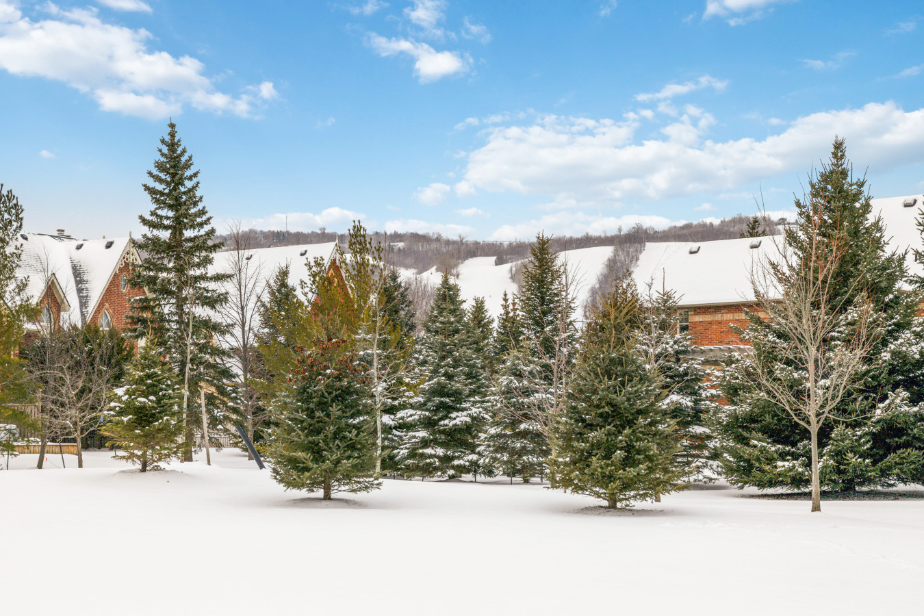 40 Snowbridge: Sauna, Games Room, Mountain View 60