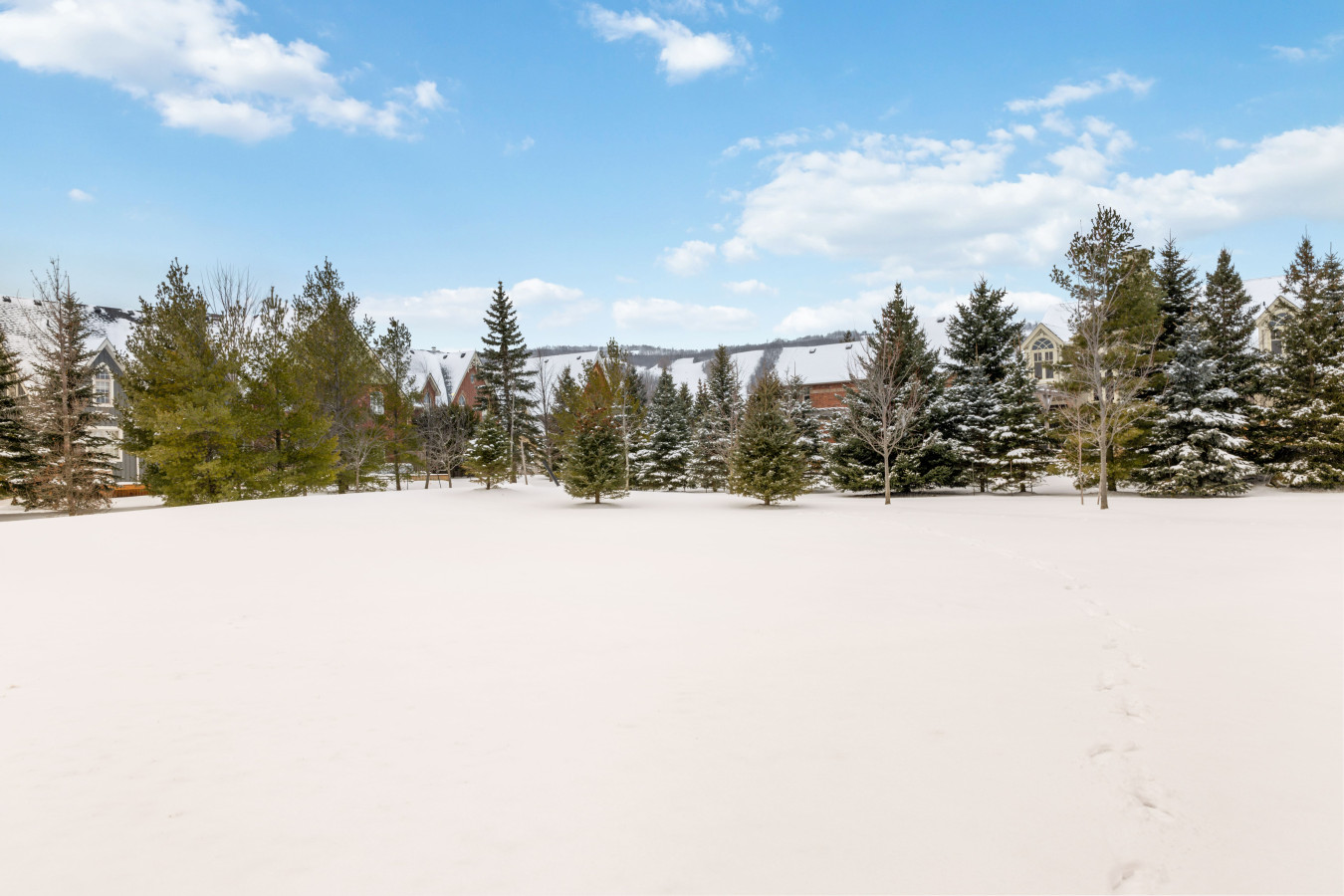 40 Snowbridge: Sauna, Games Room, Mountain View 58