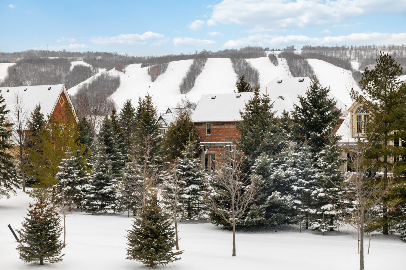 40 Snowbridge: Sauna, Games Room, Mountain View 59