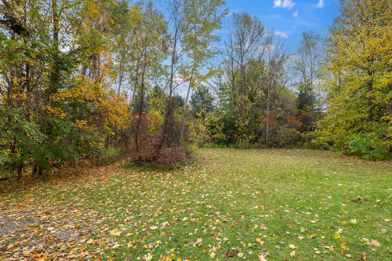 The Hickory Hideaway 53