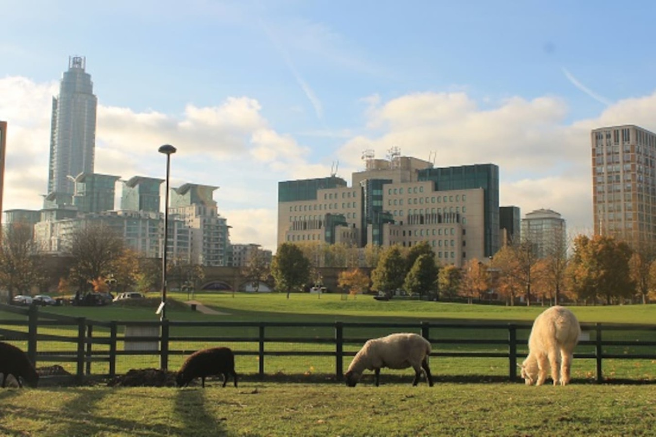 Vauxhall City Farm (0.6 miles / 10-min walk) A hidden gem and great for kids—interact with animals, enjoy a bite at the café, or explore the community gardens.