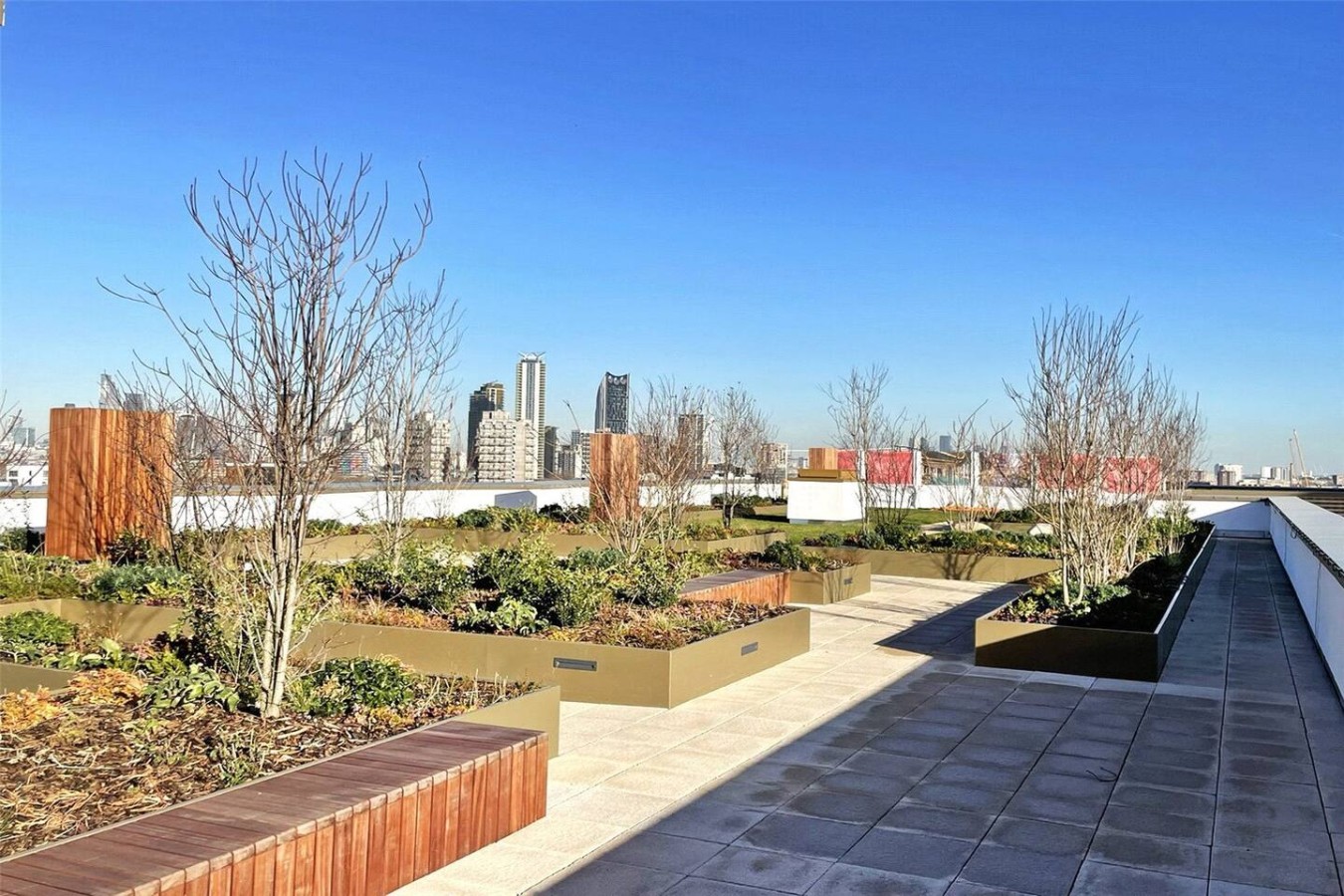 Rooftop