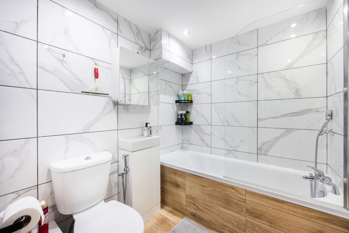 Bath tub & Toilet