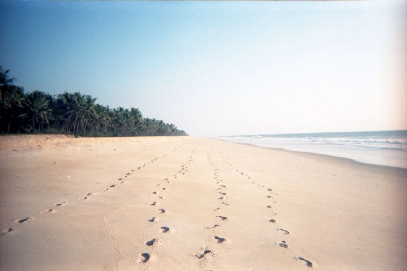 The Matsya House -Island Retreat, photo 9