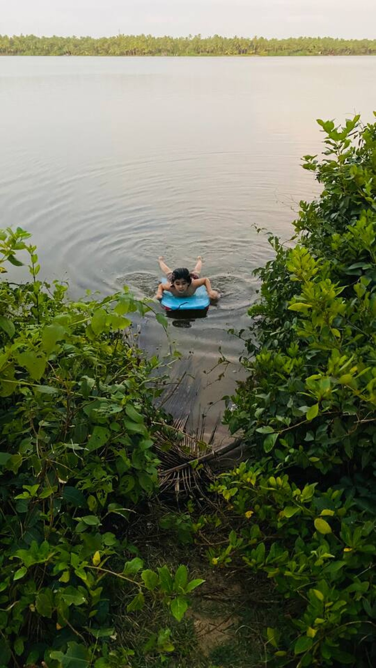The Matsya House -Island Retreat, photo 32