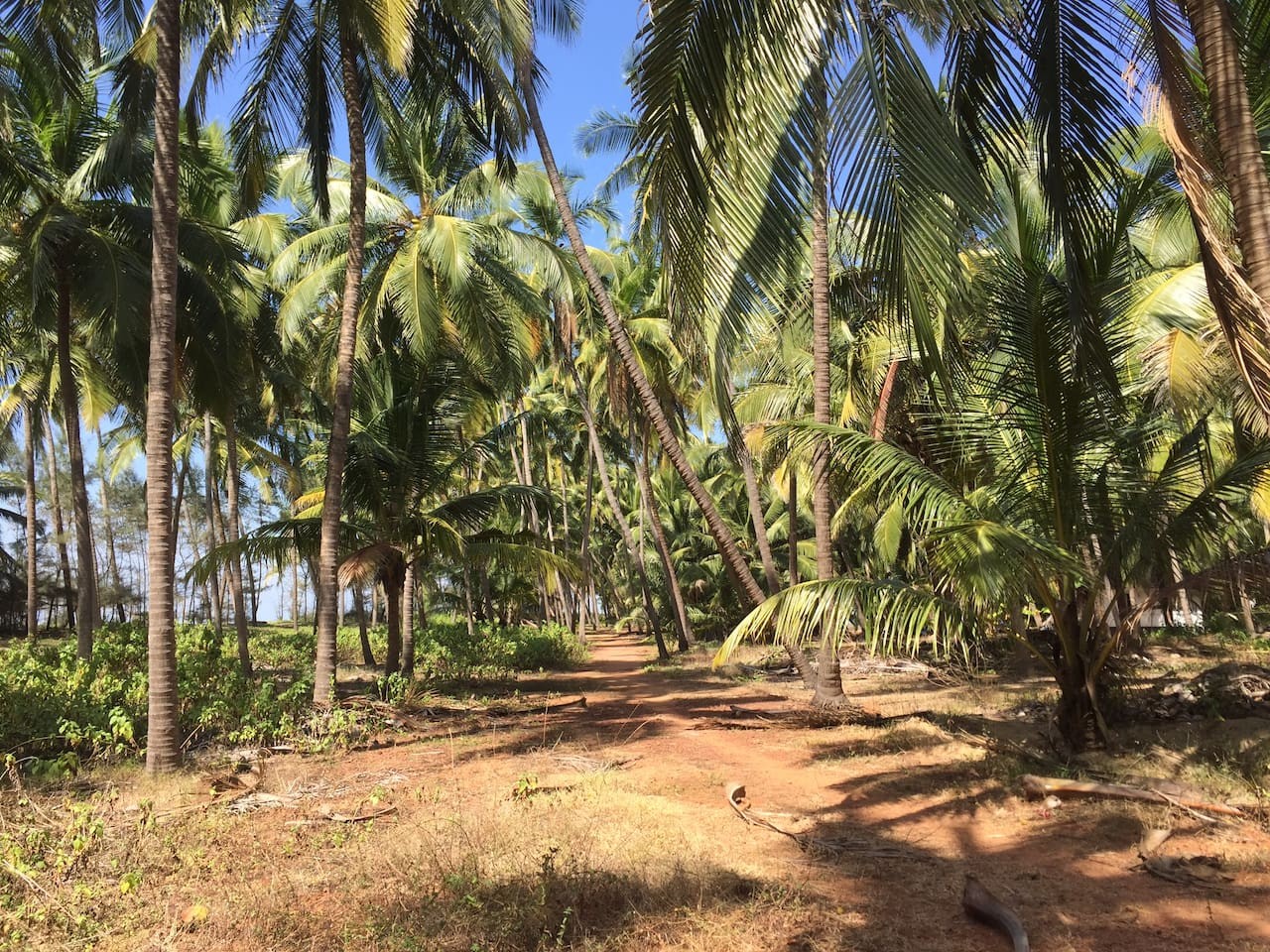 The Matsya House -Island Retreat, photo 22