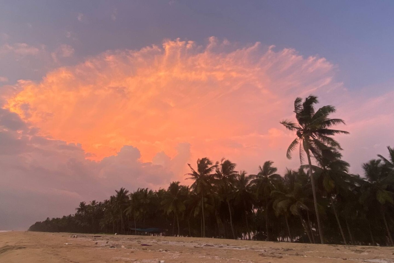 The Matsya House -Island Retreat, photo 39