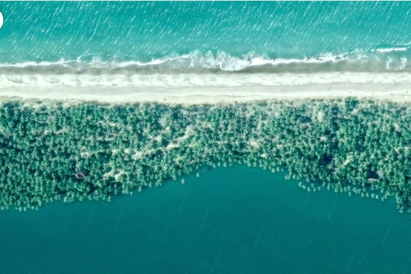 The Island