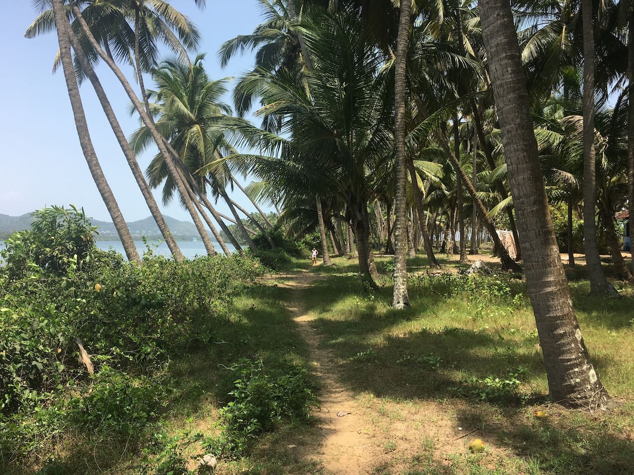 The Peacock House - Island Retreat, photo 24
