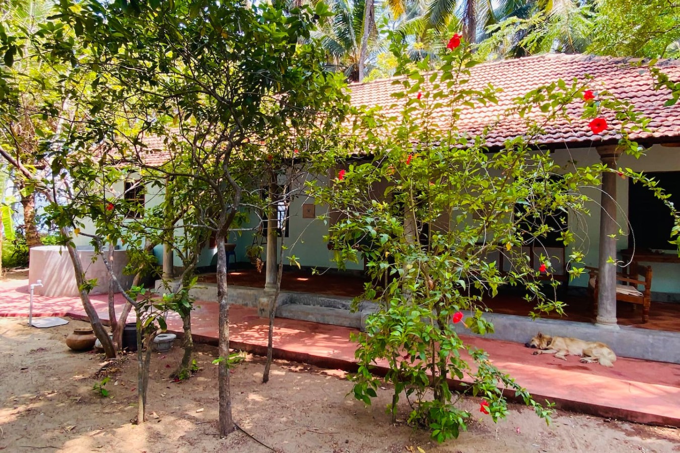 The Peacock House - Island Retreat, photo 36