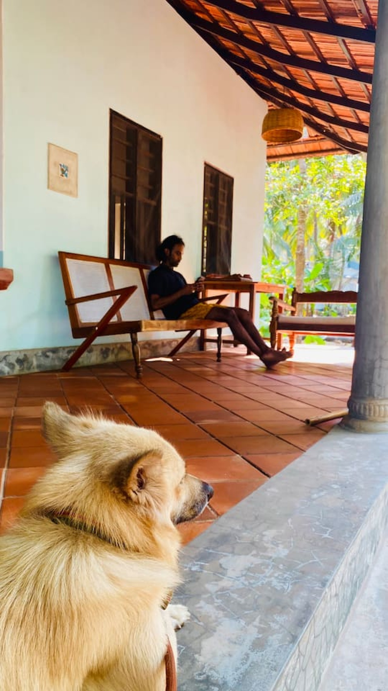 The Peacock House - Island Retreat, photo 11