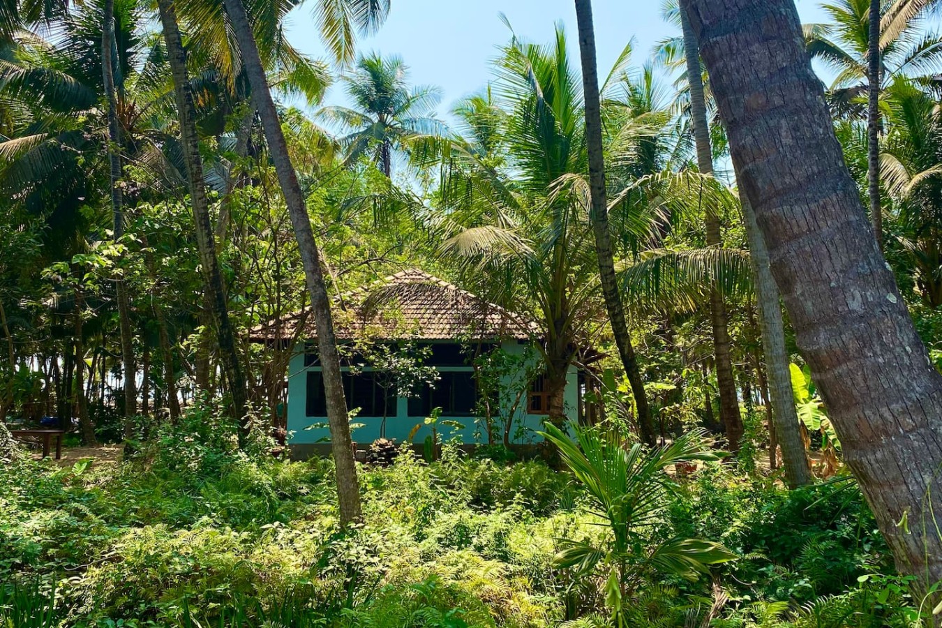 The Peacock House - Island Retreat, photo 39