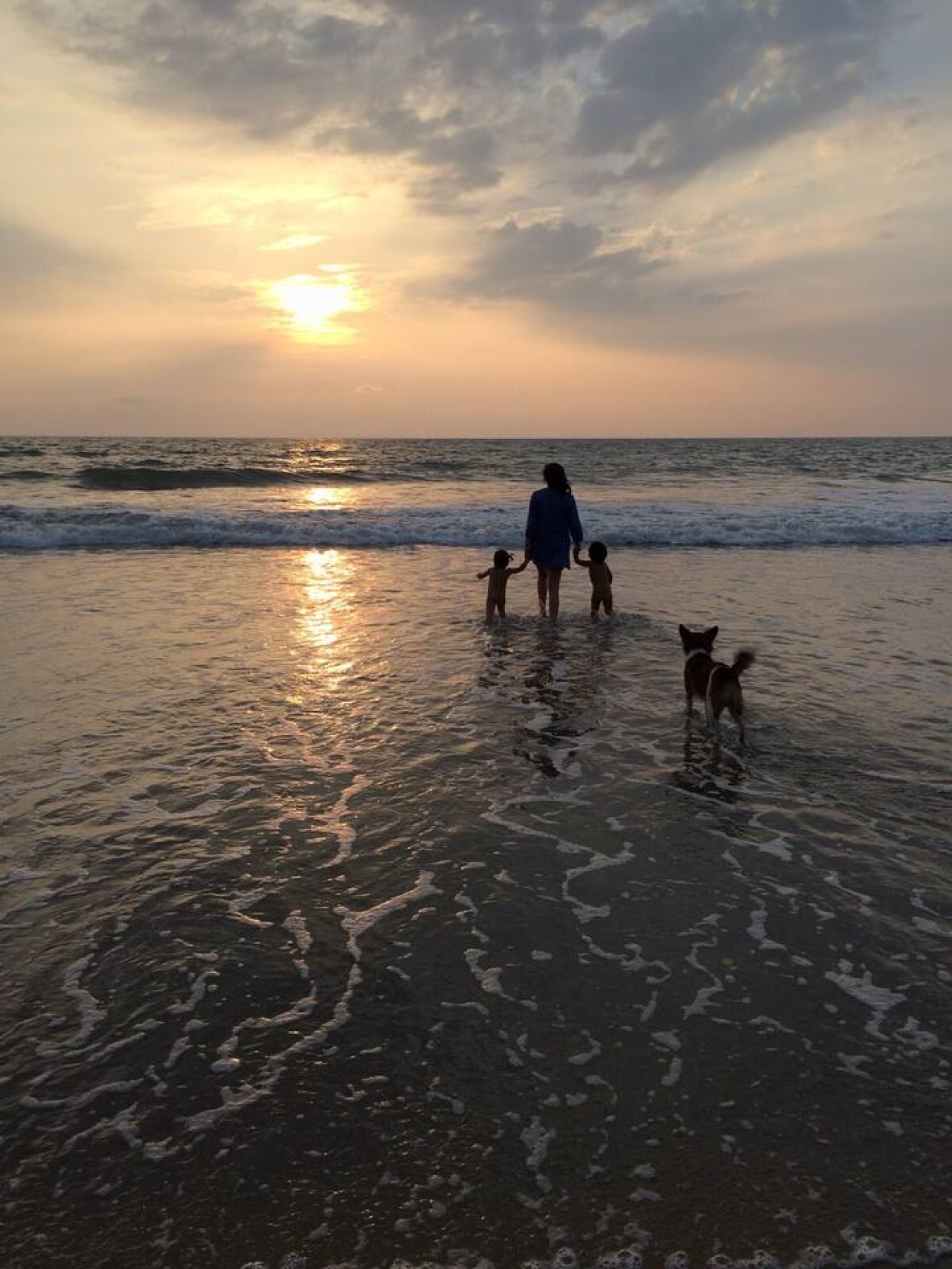 Beach Sunsets