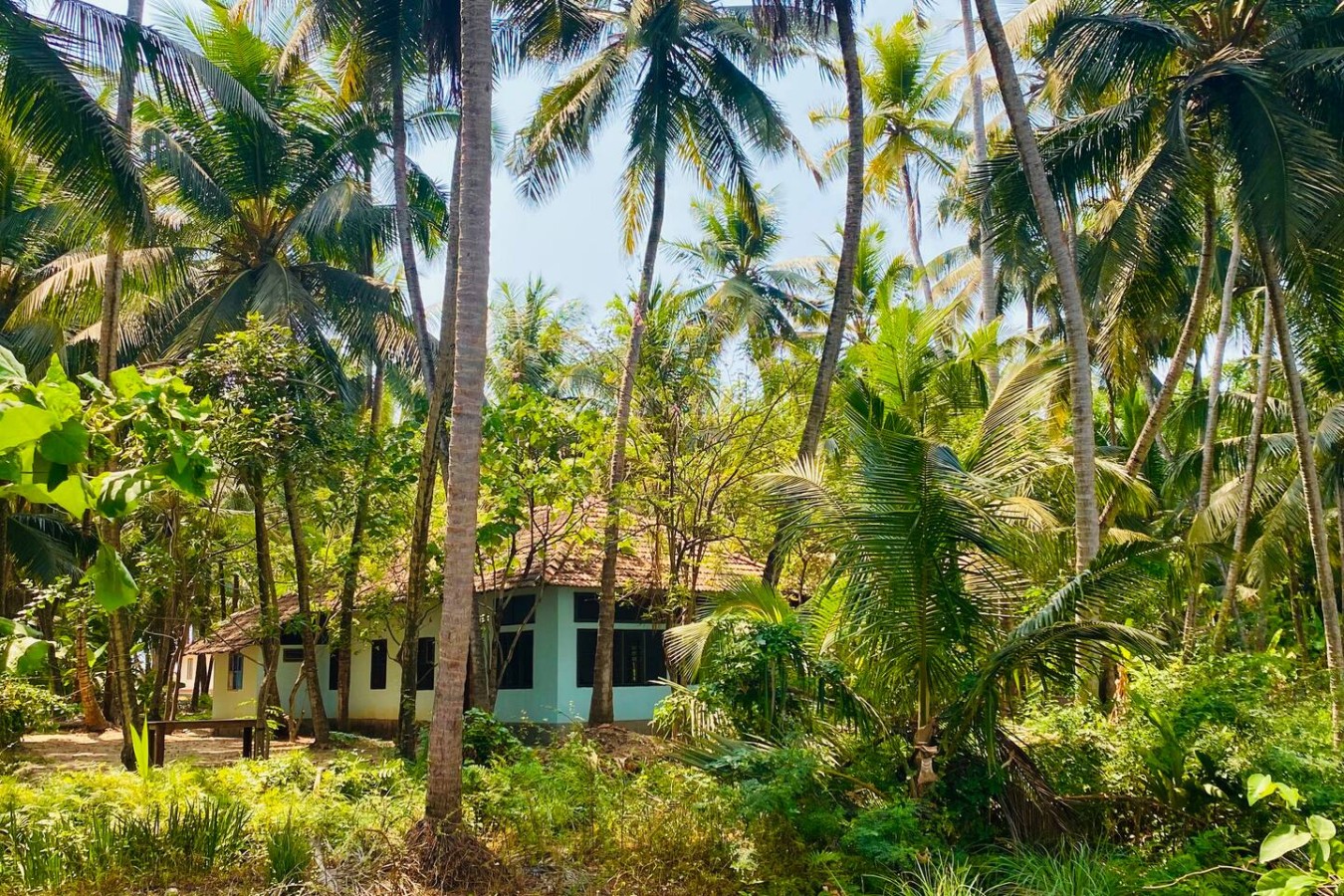 The Peacock House - Island Retreat, photo 1