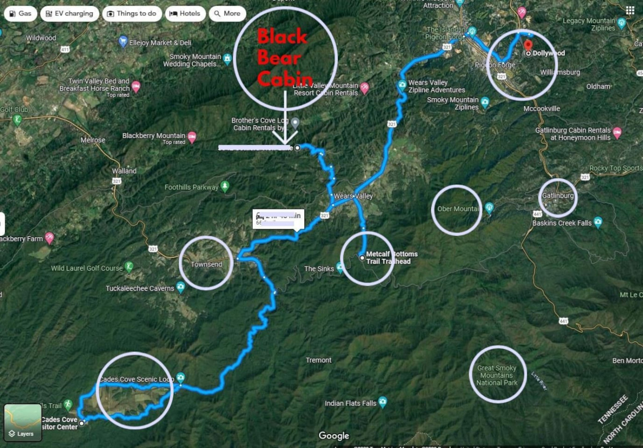 Smoky Mountain cabin, bear sightings, wildlife experience, guest favorite 5